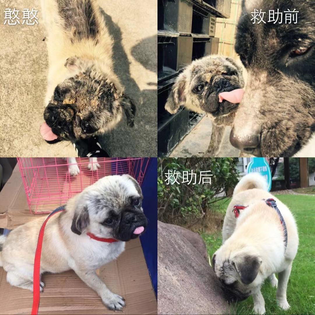微信图片_20181128153720.jpg
