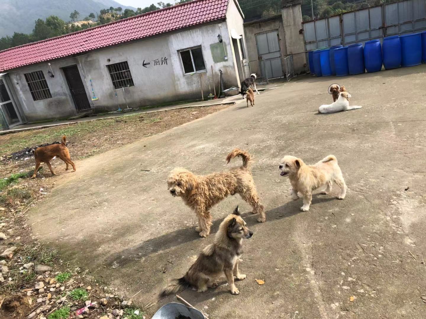 微信图片_20181128152445.jpg