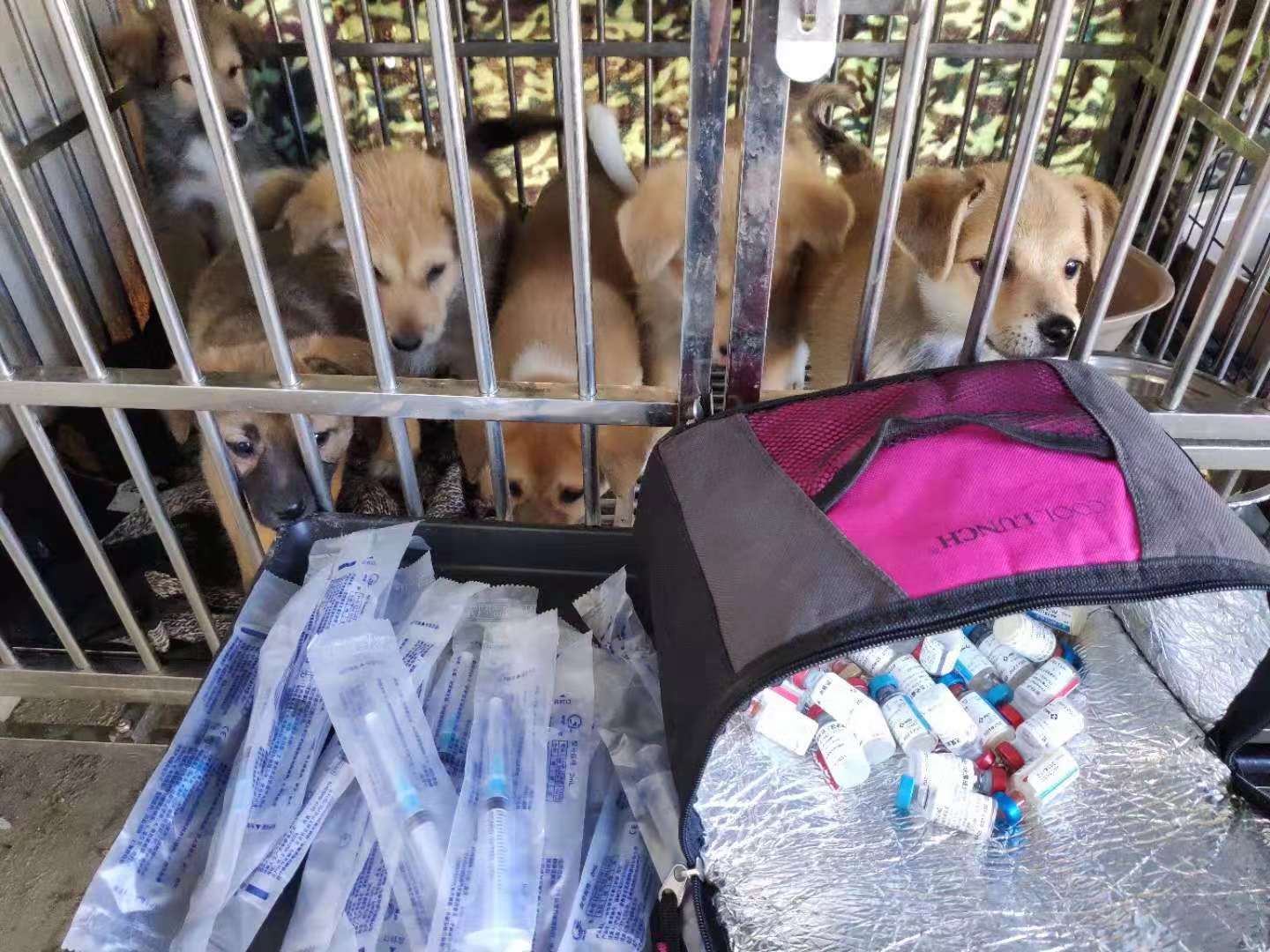 微信图片_20181130144309.jpg
